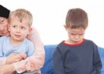 استقبال از یک تازه وارد/ فرزند دوّم، هووی فرزند اوّل