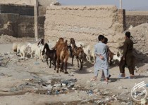 حاشیه نشینانی که در حاشیه سلامت عمومی قرار دارند