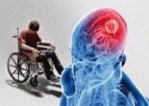 ام اس در کمین چه افرادی است ؟