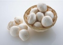 زیاده‌روی در مصرف قارچ، موجب افزایش سردی بدن می‌شود