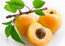 روغن زردآلو؛ مرهمي عالي براي پوست