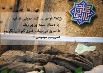 عکس/175 شهید غواص