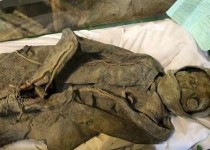 اسرای ما را زنده به گور می‌کردند، ما به میدان مین می‌رفتیم تا اسرای عراقی را نجات دهیم