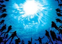 پاسداشت 175 شهید غواص در دانشگاه سیستان و بلوچستان