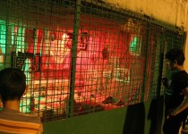 برگزاری مراسم شب قدر در تپه نورالشهداء زاهدان