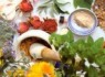 عوارض مصرف خودسرانه داروهای گیاهی را جدی بگیرید