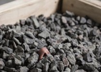 هنرمندی خود را زنده به گور کرد