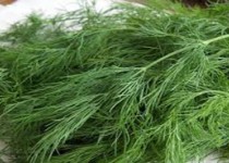 درمان سرفه با این سبزی