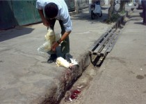 عرضه و کشتار غيربهداشتی طيور در معابر زاهدان