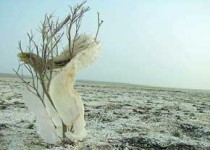 یادداشت/ فریادهایی که پژواک ندارد