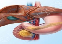 به سمت چپ بخوابید تا ...