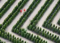 باغ های پیچ در پیچ زیبا و دیدنی (تصاویری)