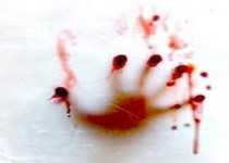 قتل به خاطر یک نگاه!