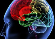 ساعت طلایی برای نجات مغز