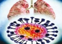 تا 10 روز به دیدار حجاج نروید!!!