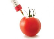 اوضاع و احوالات یک بام و دوهوا در مصرف مواد تراریختی/ محصولات تراریختی سلامتی نسل آینده را تهدید می کند