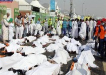 دولت هیچ خبری از مفقودین منا ندارد/آخرین خبر ما از وضعیت برادرم مربوط به روز اول فاجعه منا است