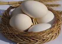 امسال بخت با صادرکنندگان یارنبود/ خبری از مرهم درد تولید کنندگان نیست