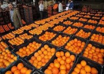 ورود میوه های قاچاق با طعم سموم آفت کش!