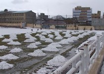 وقتی مسئولین ورزش دوست خلخال پای کار می آیند+تصاویر