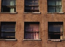 دید زدن خانه همسایه از پشت پنجره !