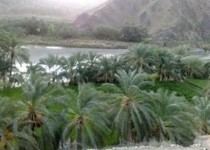 آخرین جزییات از بارش شدید باران در شهرستان سرباز/ رحمت الهی کشاورزان را خوشحال کرد