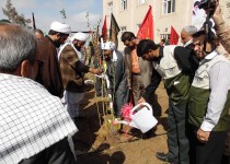 کاشت مشترک درخت وحدت در زاهدان/ 8هزار نهال به یاد شهدای سیستان و بلوچستان  سبزشد