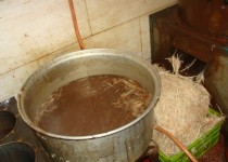 کشتارهای غیربهداشتی تهدیدی برای سلامت جان شهروندان/ از برخورد با متخلفان تا پلمپ 21 واحد فروش