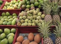 این میوه استخوان را مثل فولاد می کند