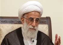 برخی ادعا می‌کنند فقط مجلس می‌تواند اعتبارنامه فرد فاقد صلاحیت را تأیید نکند/ نظارت استصوابی شورای نگهبان عام و در تمام مراحل است