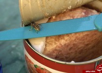 فروش گوشت انسان به جای کنسرو تن ماهی+ عکس