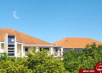 این عکس یک میلیون نفر را سر کار گذاشت