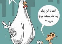 سانسور مرغ هشت هزار تومانی؛ سال 91 تقصیر دولت، سال 95 تقصیر دلالان +سند