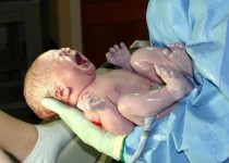 ثبت بیش از 24 هزار ولادت در 3ماه/ روزانه264 نوزاد در سیستان وبلوچستان متولد می شود