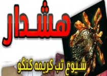 هشدار درباره خطر شیوع تب کریمه کنگو در زاهدان/ از قطعه قطعه کردن گوشت پرهیز کنید