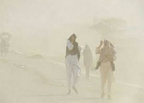 دفن 400 روستای سیستان زیر طوفان شن/ بیش از ۳۵۰۰ نفر راهی بیمارستان شدند