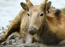 تصاویر برتر اینستاگرام از نگاه تلگراف+8 عکس