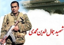 دفاع از جان و شرف مسلمانان هدف مشترک همه مدافعان حرم/برای پول پسرم را به جنگ نفرستادم