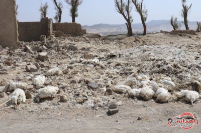 رونمایی از مافیای پشت پرده شهر زاهدان!