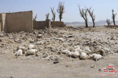 رونمایی از مافیای پشت پرده شهر زاهدان!