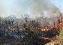 تالاب هامون اتش گرفت