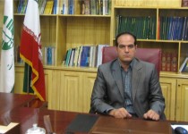 کشف و ضبط 2قلاده گرگ از قاچاقچیان در سیستان وبلوچستان