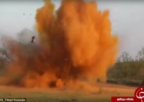 وقتی گرازها به پرواز درمی‌آیند +تصاویر