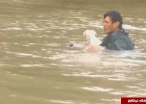 نجات معجزه آسایی که هر 500 سال یکبار اتفاق می‌افتد+تصاویر