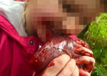 پدری که به رفتار وحشیانه دخترش افتخار می‌کند+تصاویر