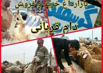 حق فروش دام زنده از شهرک دامداران گرفته شد/ مردم از شهرک دامداران دام زنده نخرند