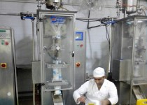 تعطیلی 5 واحد تولیدی دستاورد حذف یارانه شیردر جنوب شرق