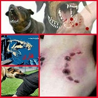 جلب توجه به قیمت زندگی!/ مراجعه 160 هزار نفر ایرانی به مراکز درمانی ضدهاری کشور