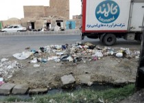 بازار هفتگی معضل یا فرصت؟/ از رها سازی فضولات دام تا هجوم حشرات موذی به اجناس