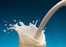 آخرین وضعیت صادرات محصولات لبنی به روسیه